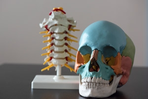 Chiropraktik und Osteopathie